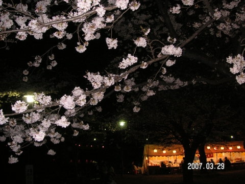 s_PICT0002.jpg